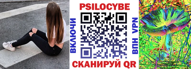 kraken зеркало  наркота  Каргат  Галлюциногенные грибы Cubensis 